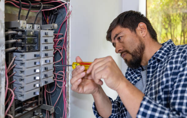 Best Electrician for Home Renovation  in Elberta, AL